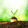 investisseurs-business-plan